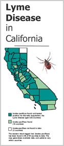 Department of Public Health Brochure