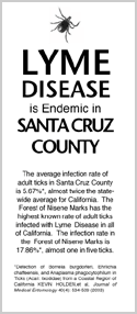 Santa Cruz Support Group Brochure