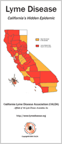 CALDA Lyme Disease Brochure