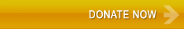 Donate To LymeDisease.org