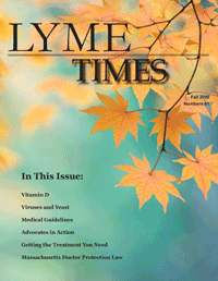 Lyme Times Spring 2009 Issue