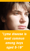 Lyme Times