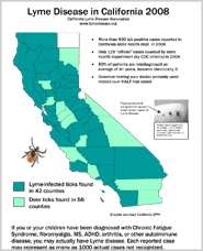 Lyme Disease Flyer