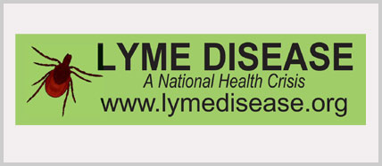 Lyme Bumper Stickers
