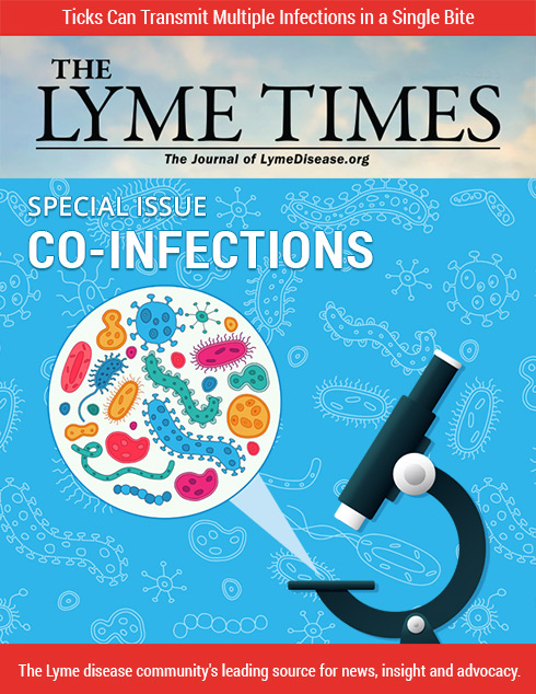 Lyme Times Co-Infections Lyme Disease Issue
