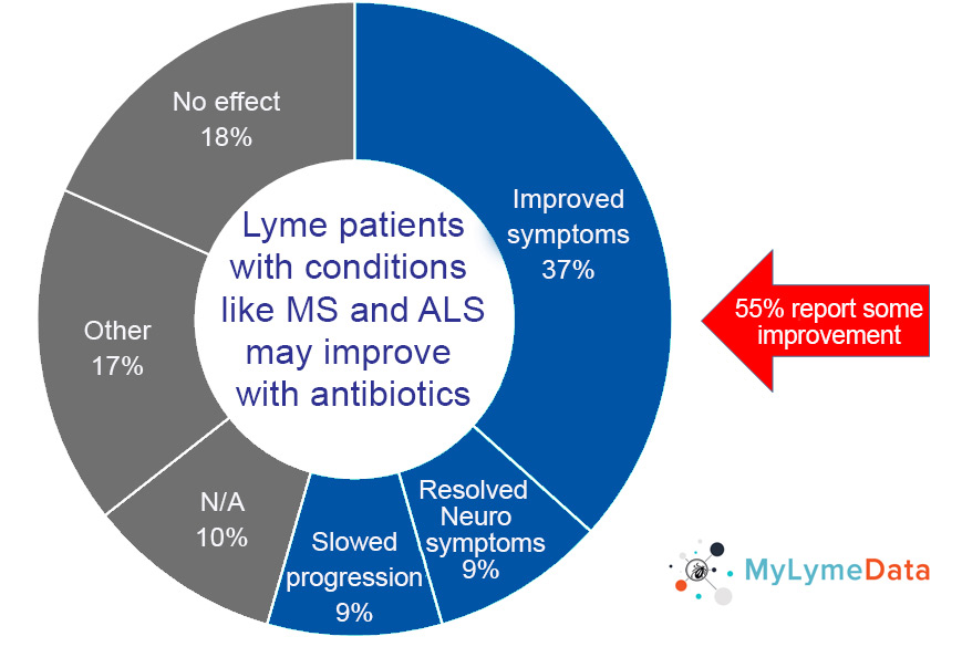 ms lyme disease - patients may improve with antibiotics