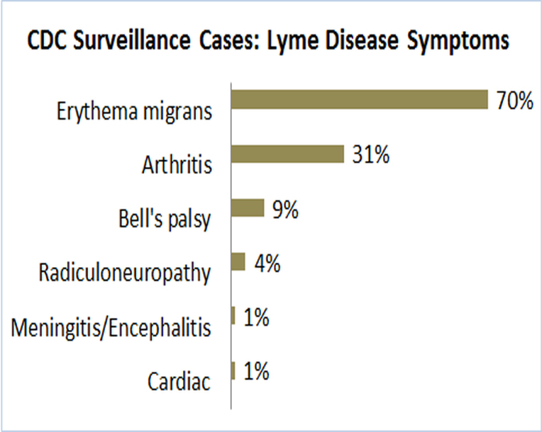 Lyme Symptom Chart