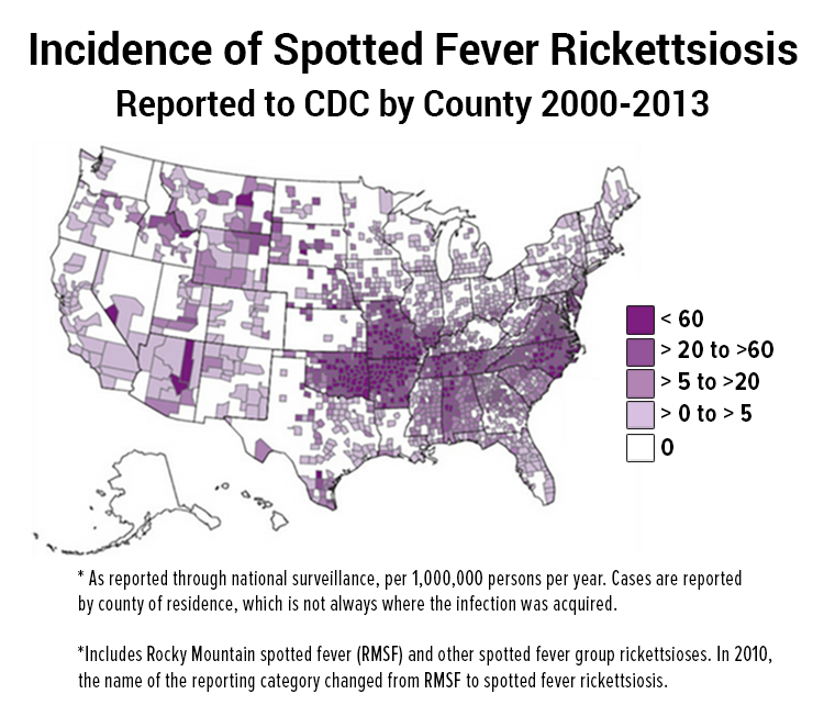 Incidence of spotted fever rickettsiosis