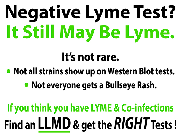 Lyme Information