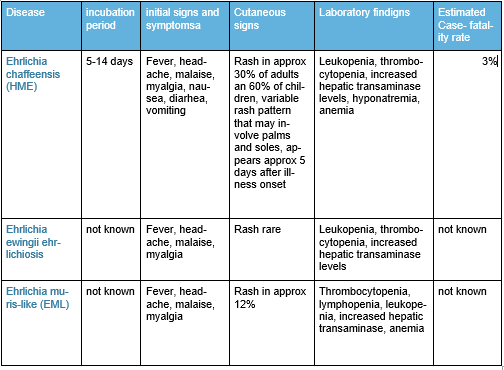 summary of ehrlichiosis