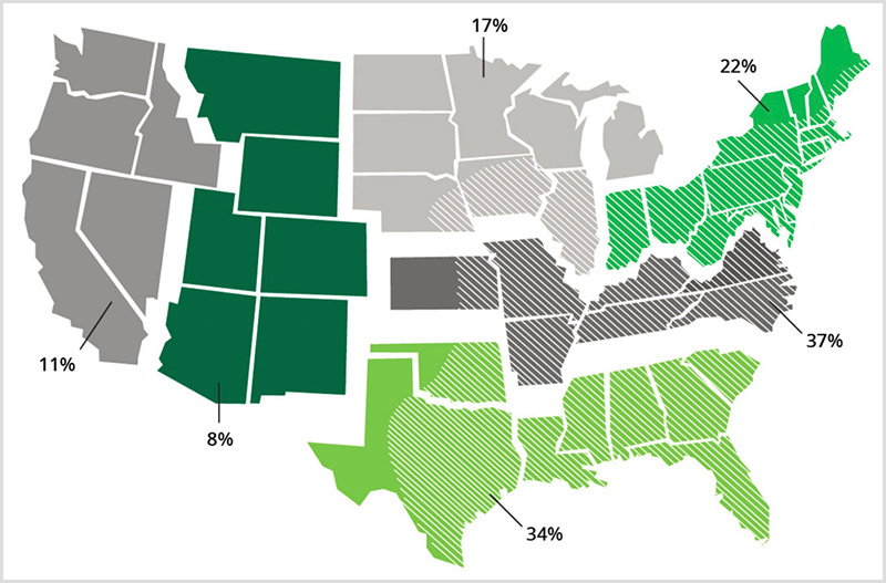 Alpha-gal syndrome Lone Star Tick in the United States