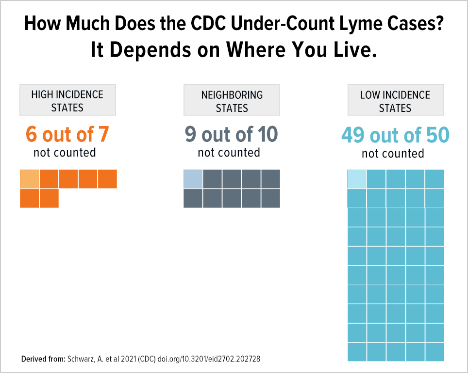 How much does the CDC undercount Lyme cases? It depends on where you live.