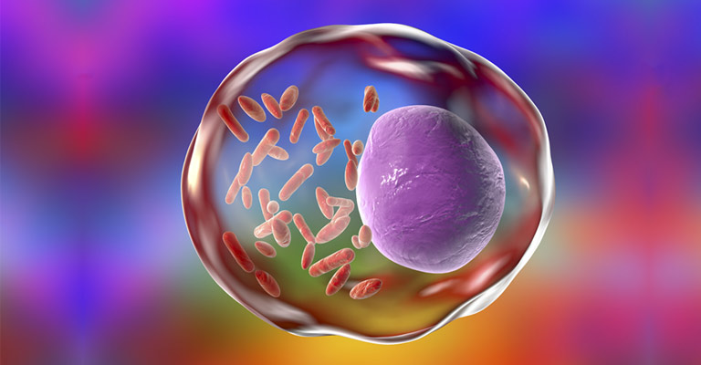 A Closer Look at Rickettsial Infections