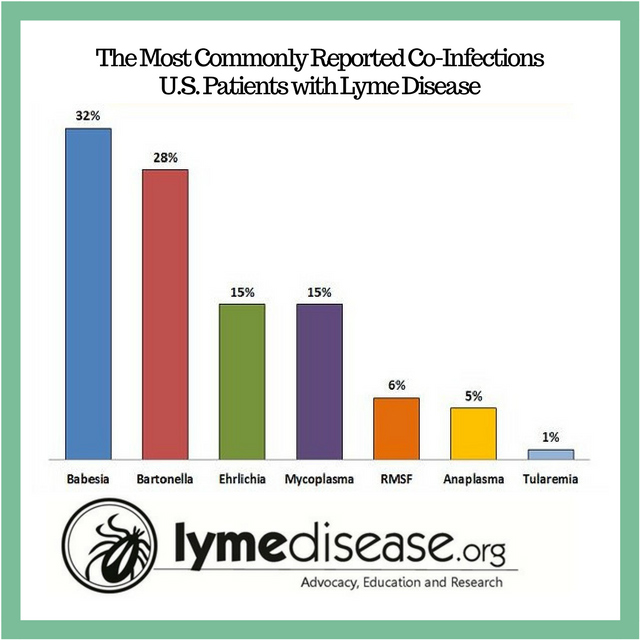 Lyme Co Infections Chart