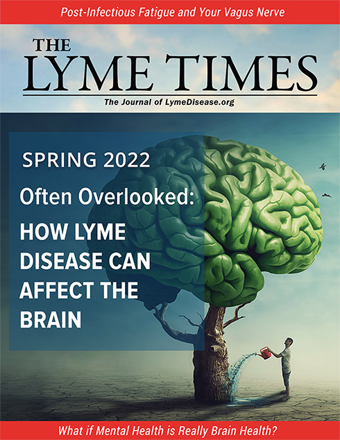 Lyme Times Issues