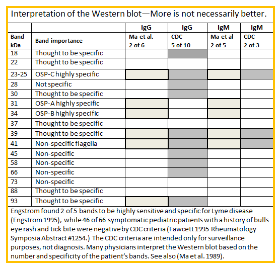 positive western blot test