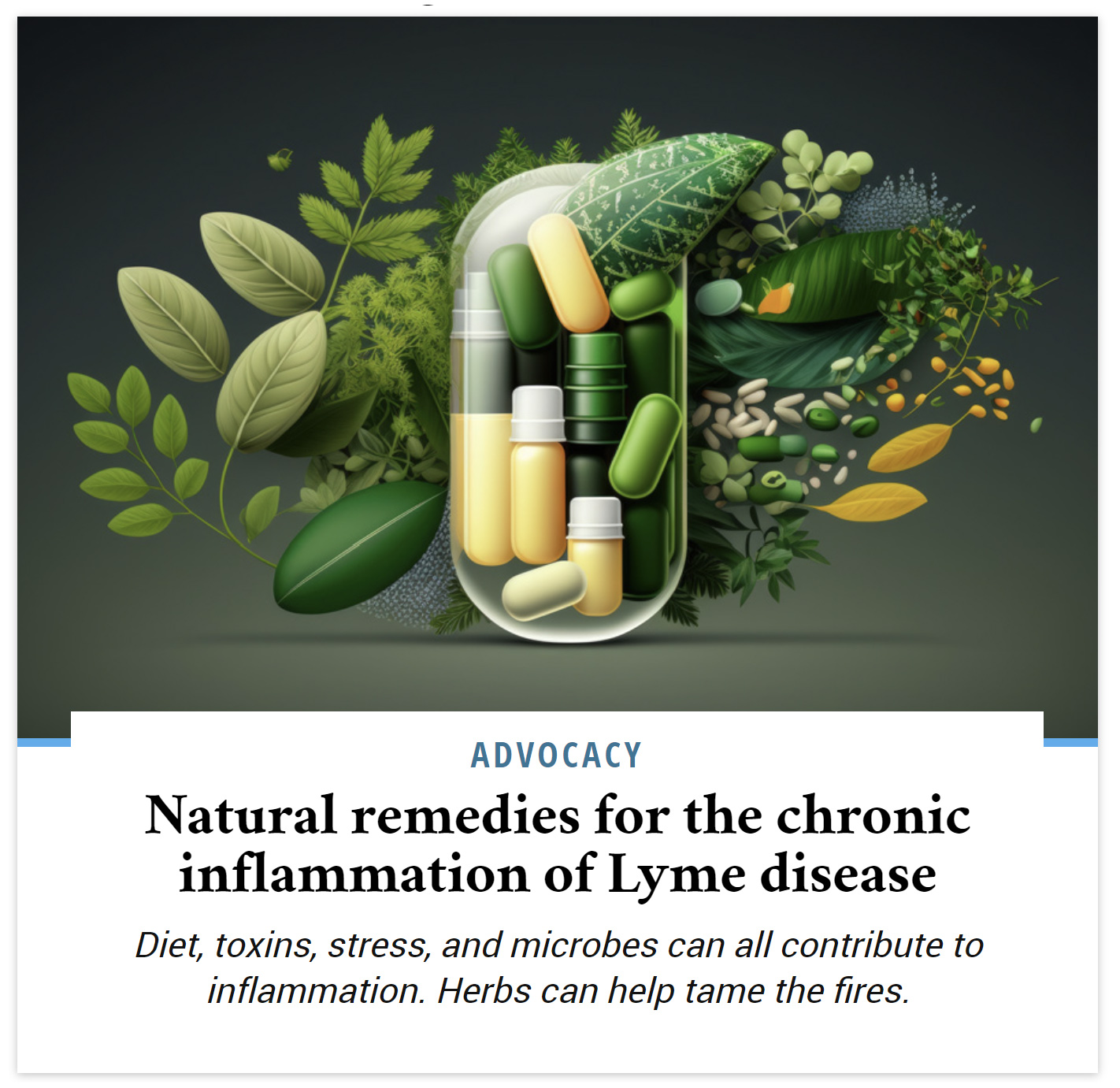 Natural remedies for the chronic inflammation of Lyme disease