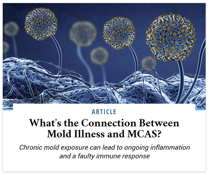What’s the Connection Between Mold Illness and MCAS?