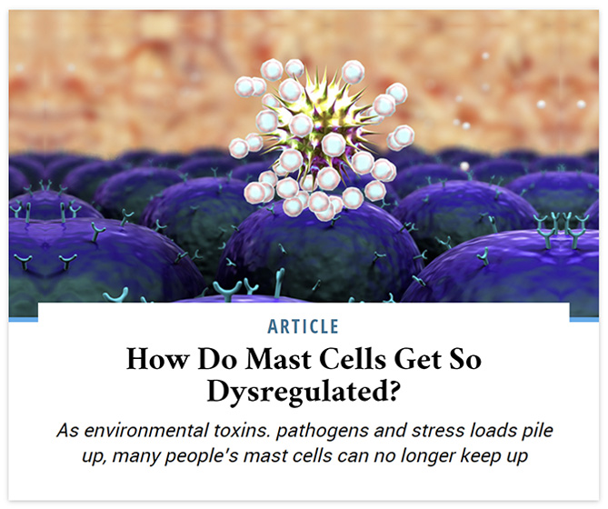 As environmental toxins, pathogens and stress loads pile up, many people's mast cells can no longer keep up