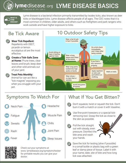 Lyme Disease Basics Poster