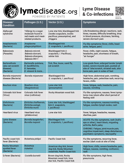 Lyme Disease Co-Infections Poster