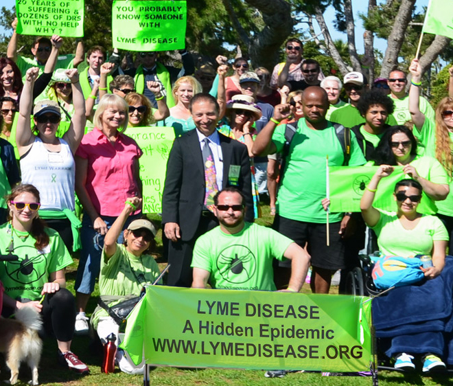 Organize a Lymewalk