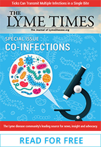 LymeTimes Co-infection Special Issue