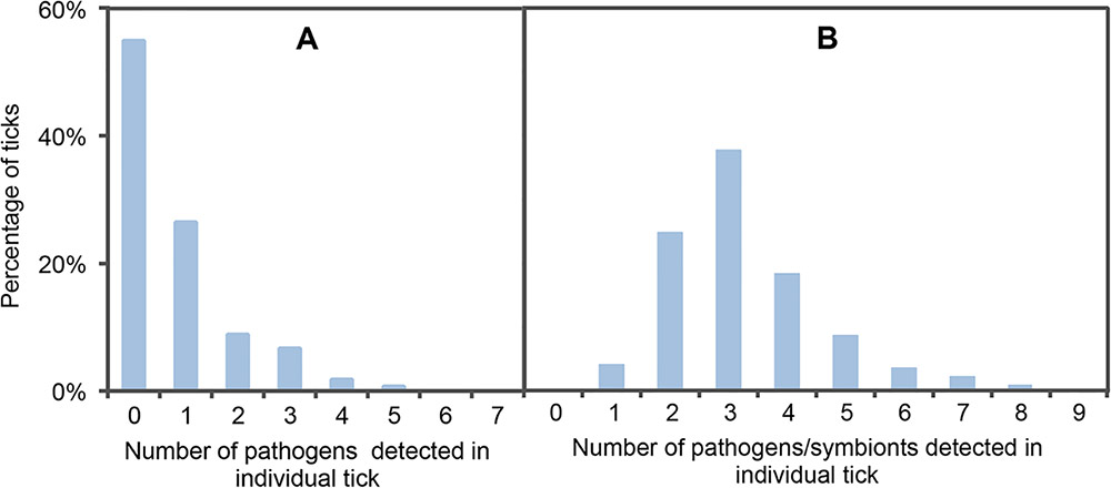 pathogens carried by Ixodes ticks