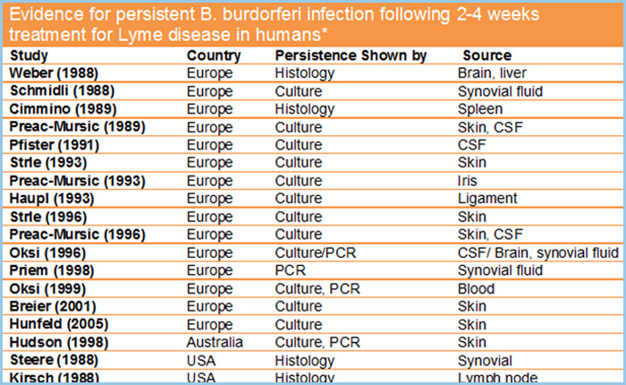 Evidence Of Persistence Of Lyme Disease In Humans