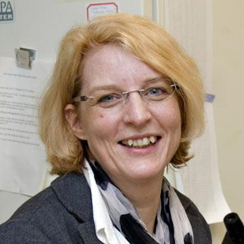 DNicole Baumgarth, DVM, PhD