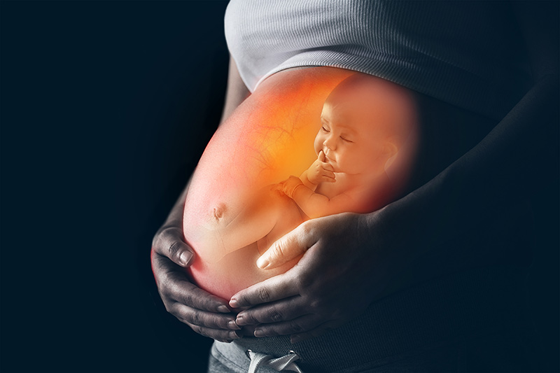 Congenital transmission of Lyme disease – from mother to child