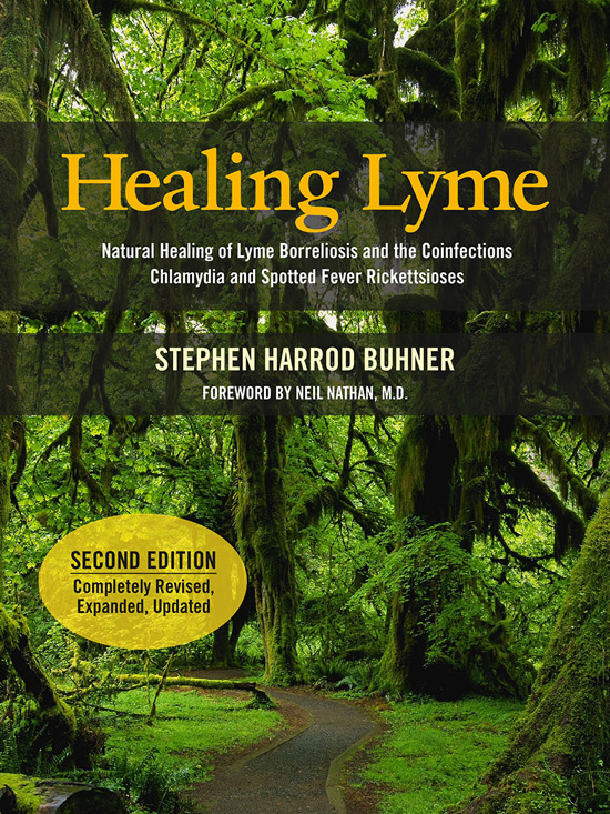 Healing Lyme