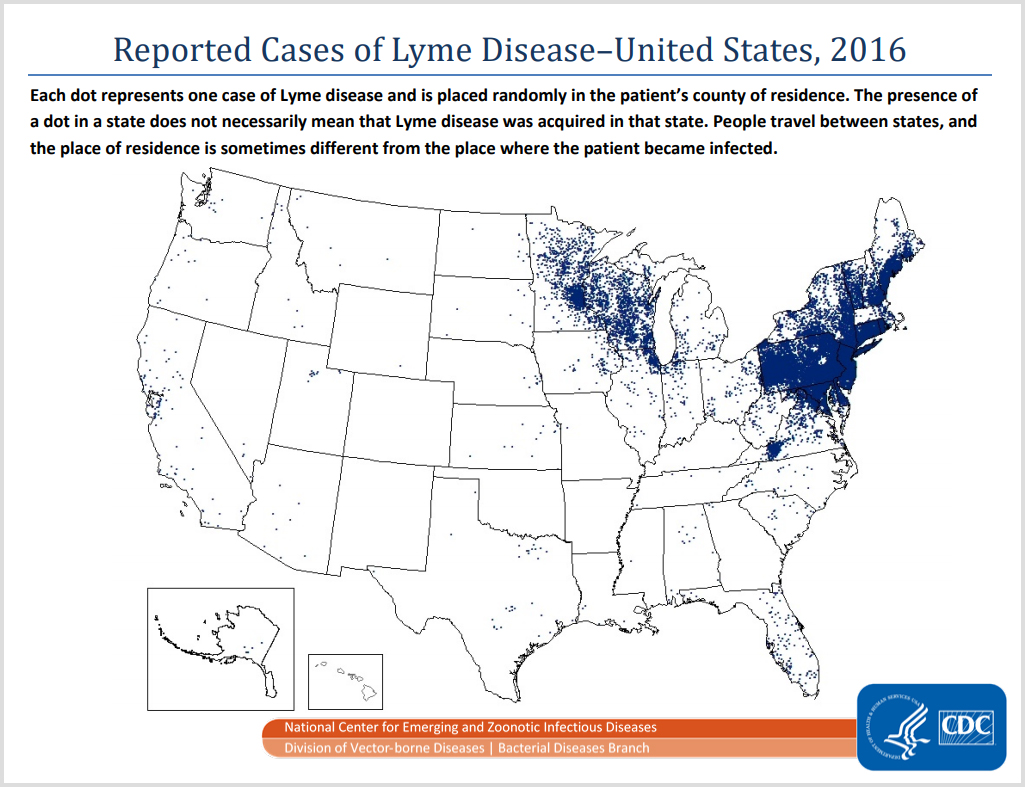 Lyme Disease Has Been Found in All 50 United States — and Is on the Rise