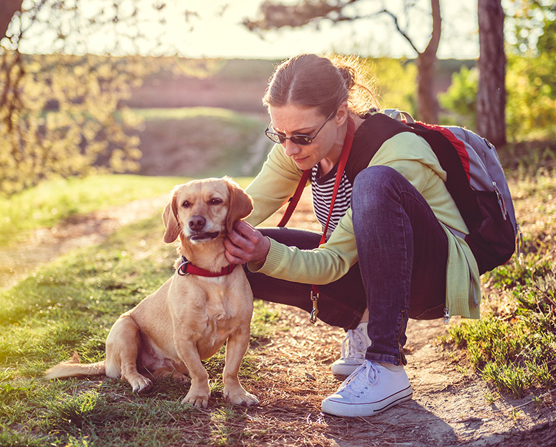 Check your pets for ticks to protect yourself from Lyme disease