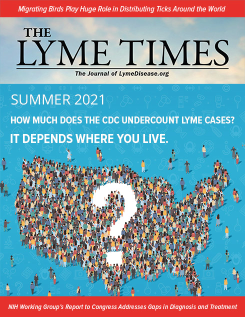 LymeTimes Summer 2021 - Lyme Disease Online Magazine