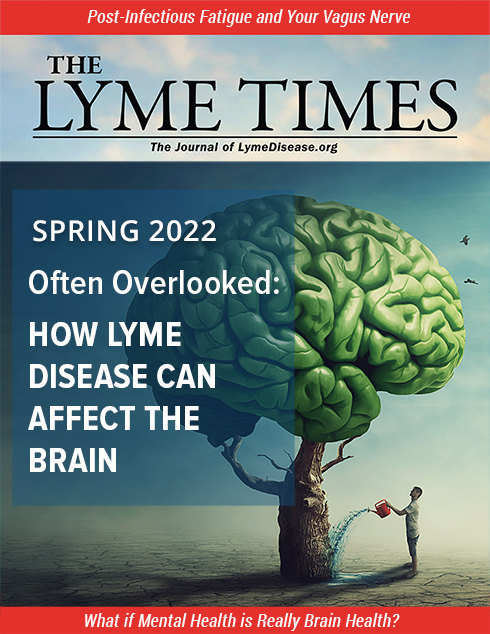 Lyme Times Patient Lyme Disease Issue