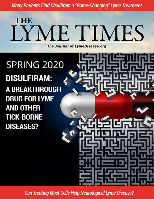 LymeTimes Spring 2020 - Lyme Disease Online Magazine