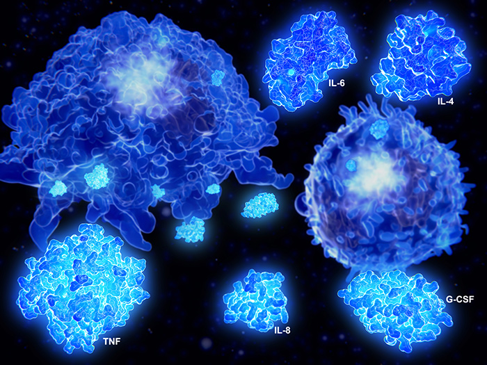 Overactive immune response to protein