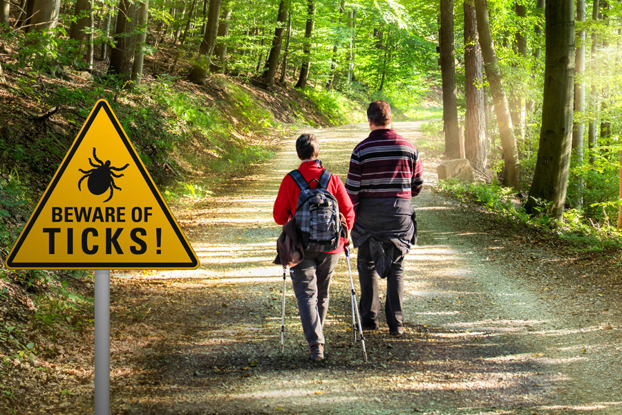 Venturing out? Watch for ticks