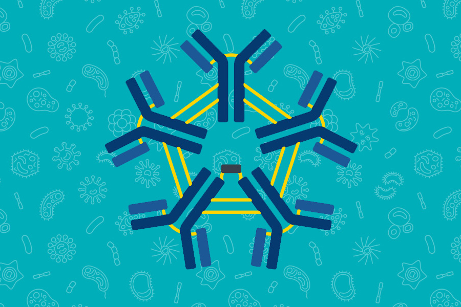 All about IgM or why Lyme spirochetes are like stealth bombers