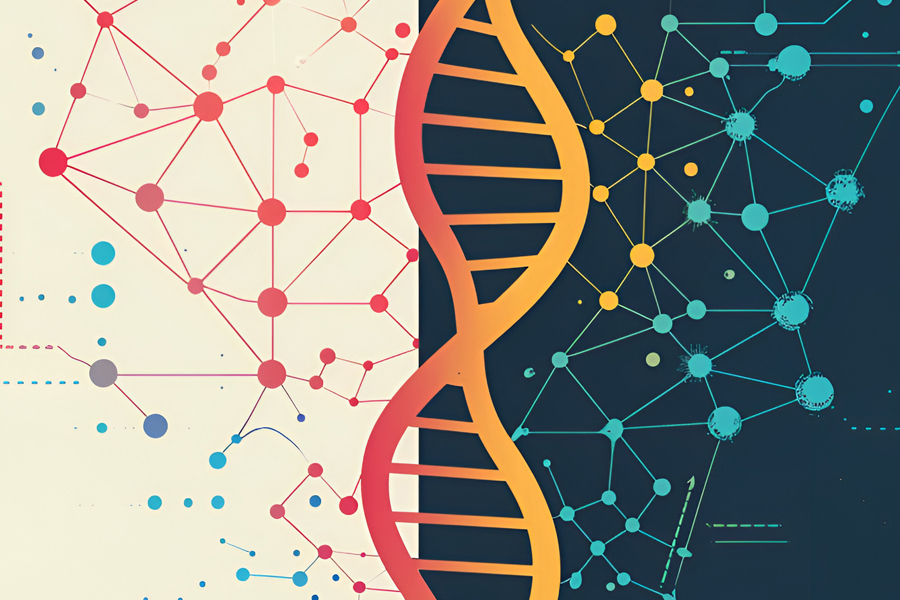 Biologists map the DNA of 47 strains of Lyme disease