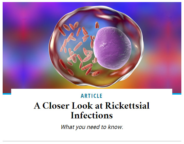 A Closer Look at Rickettsial Infections