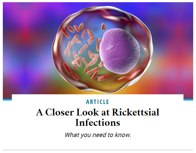 A Closer Look at Rickettsial Infections