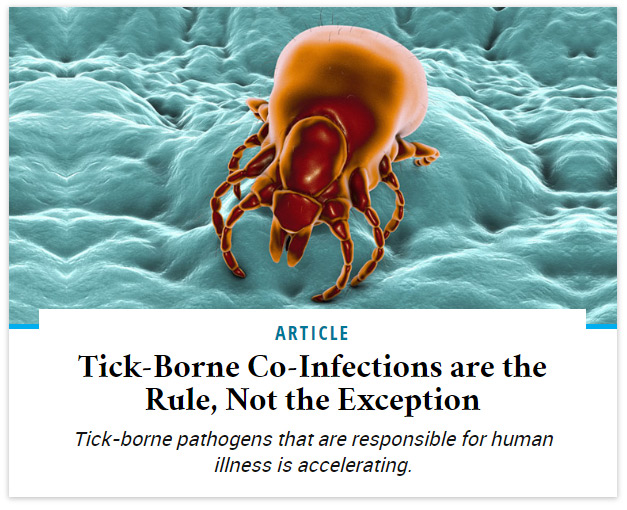 Tick-Borne Co-Infections are the Rule, Not the Exception