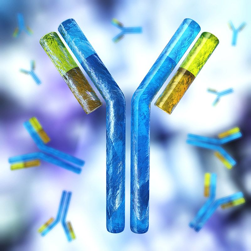 lyme disease biological weapon - antibody test