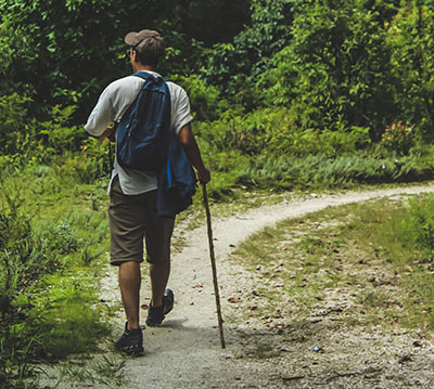 A case of a patient who as a hiker but had no known tick contact died of Lyme carditis.