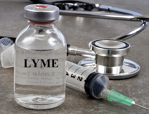 lyme disease vaccine