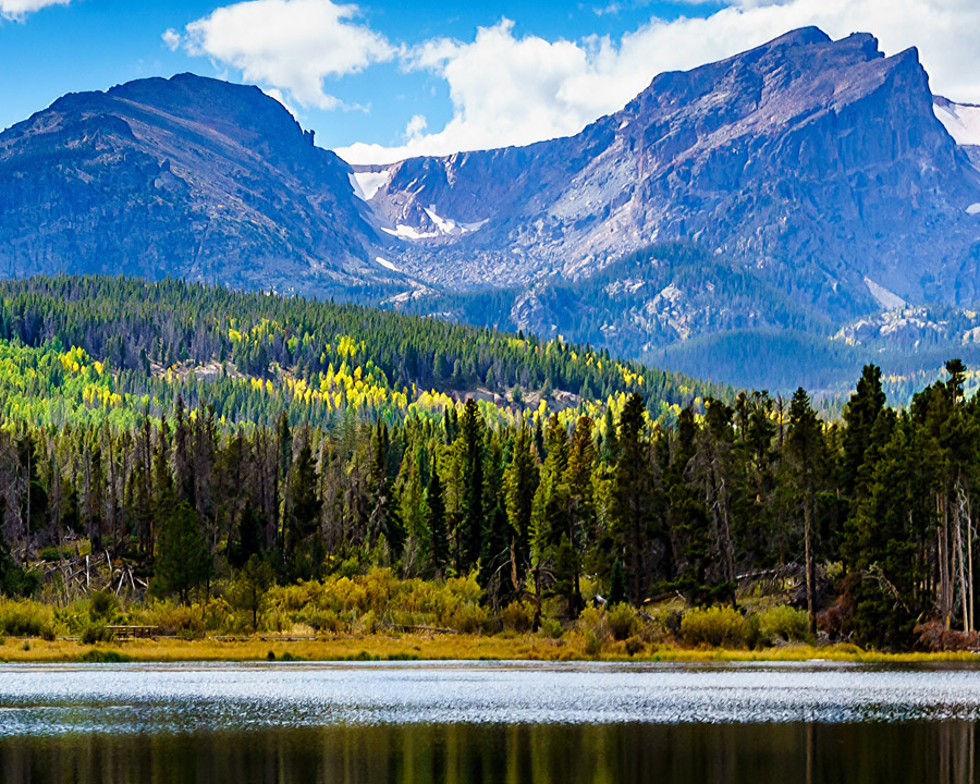 Elevating Tick Awareness in Colorado