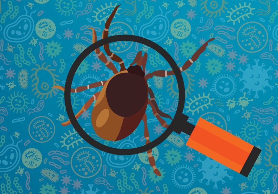 Developing New Tests to Identify Tick-Borne Pathogen