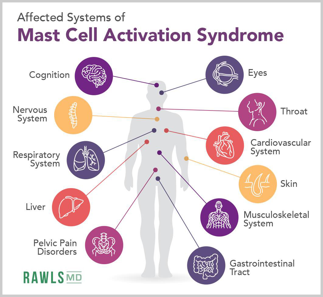 Mast cell activation syndrome organs affected